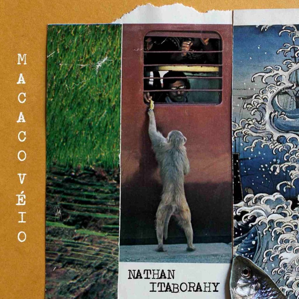 Capa single da música Macaco Véio - Natha Itaborahy_Easy-Resize.com