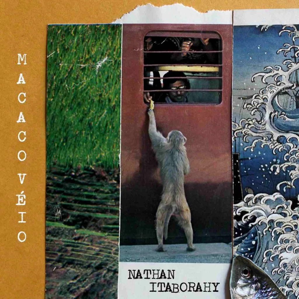 Capa single da música Macaco Véio - Natha Itaborahy_Easy-Resize.com