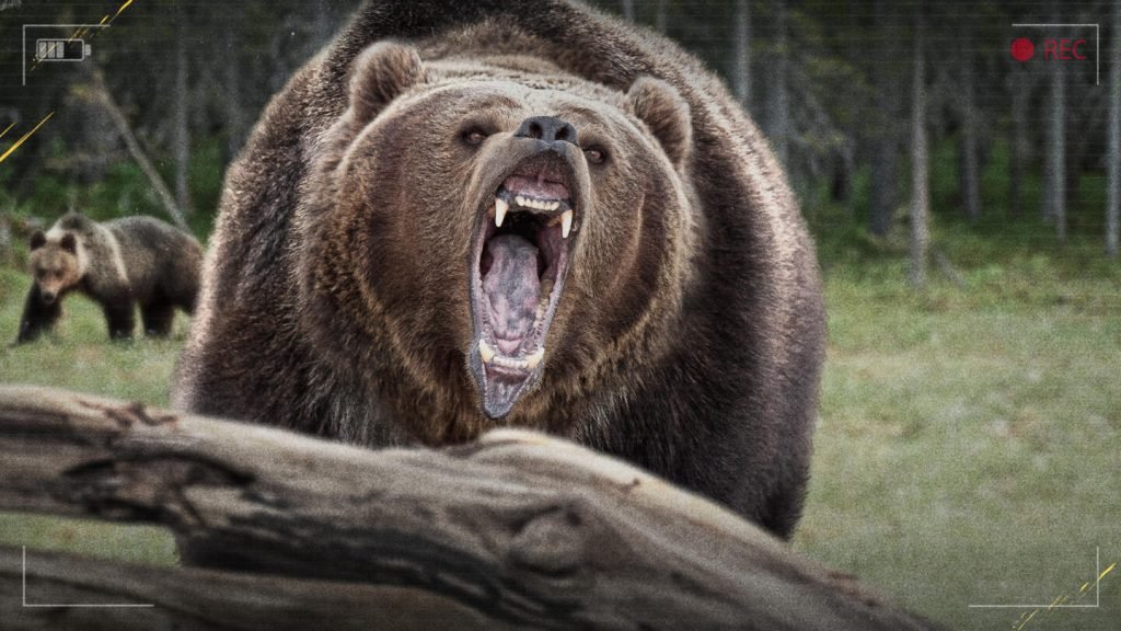 nature-gone-wild-2048x1152-primary-16x9-1