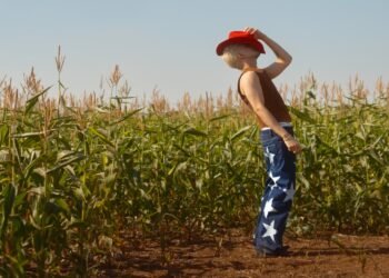 Reprodução: Acess Mídia