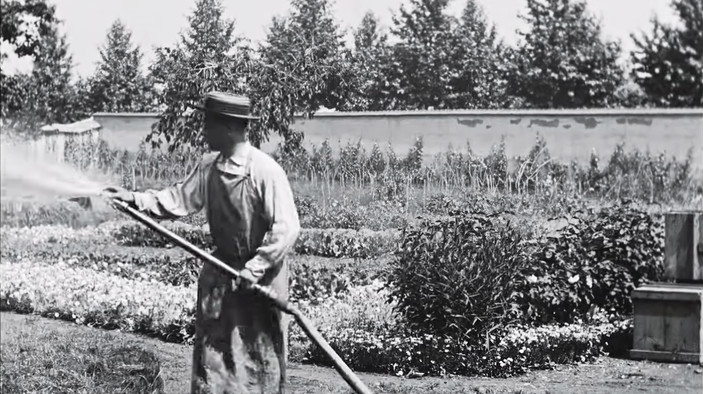 Curiosidade: qual foi o primeiro filme já feito?