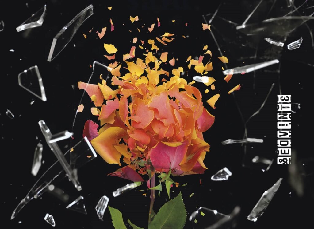 "Tudo que Nunca Dissemos": saiba mais sobre o novo thriller da Editora Seguinte