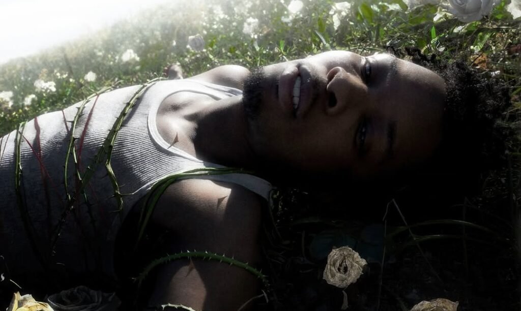 Crítica: D4vd, "Withered"