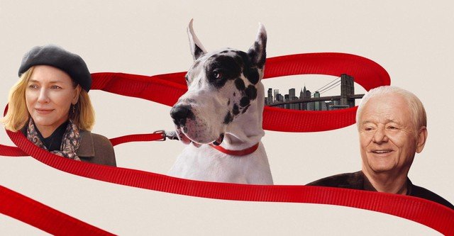 Crítica: "The Friend"