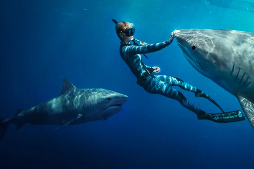 Crítica: "Encantadora de Tubarões" (Shark Whisperer)