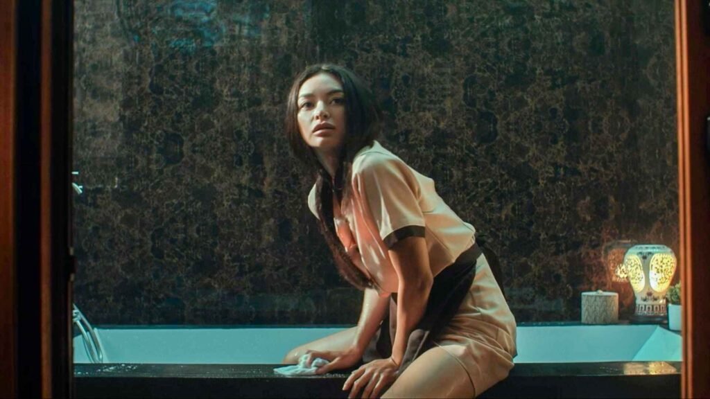 Crítica: "A Criada Proibida" (The Housemaid)