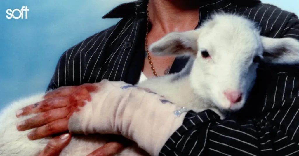 Crítica: Lany, "Soft"